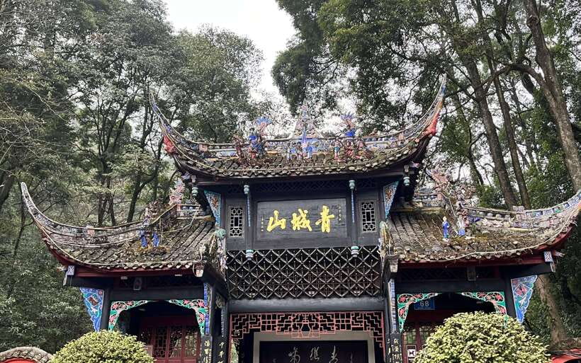 Dujiangyan Irrigation System & Mount Qingcheng Private Tour - Analyzing Value and Practicalities