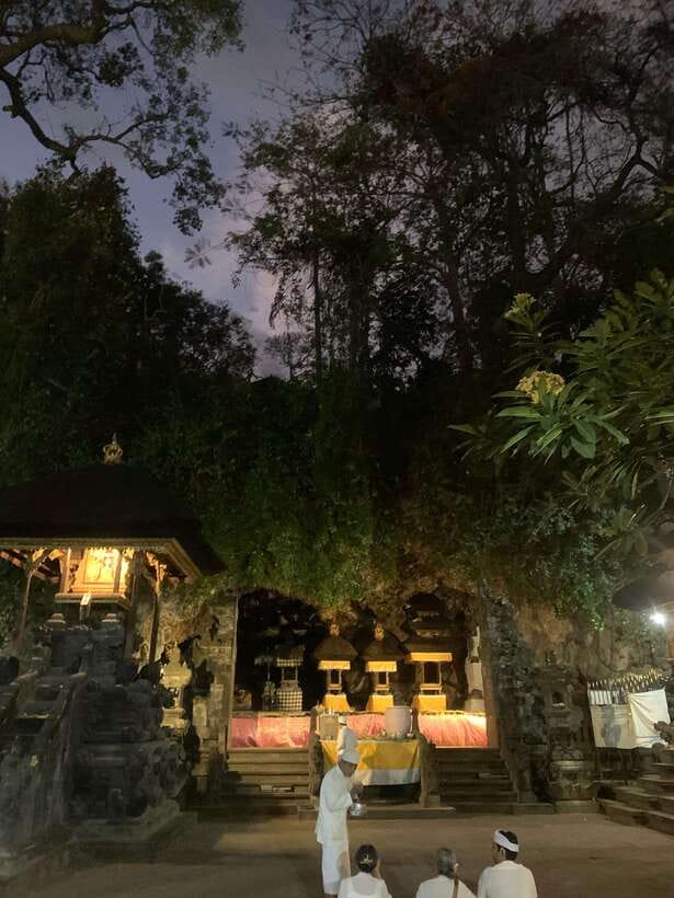 East Bali : Tirta Gangga, Taman Ujung , Tenganan Village - Who Will Love This Tour?