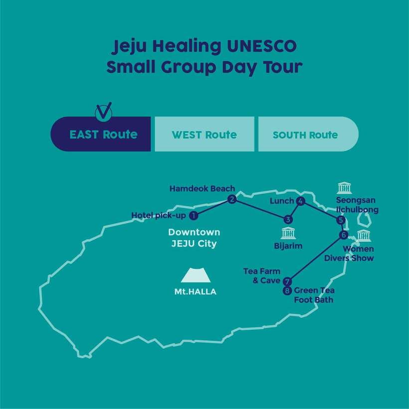 Eastern Jeju Healing UNESCO Small Group Day Tour - Who Will Love This Tour?