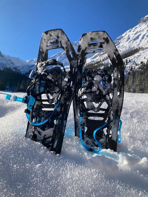 Ehrwald: Zugspitze Snowshoe Hiking Tour with Mountain Views - The Itinerary Breakdown