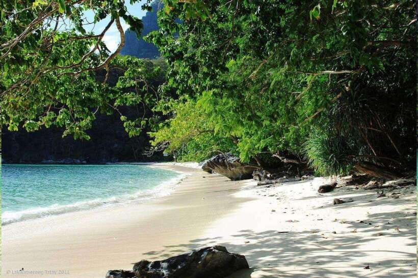 El Nido: Tour D with Cadlao Lagoon, Paradise Beach & More - The Realities of the Experience