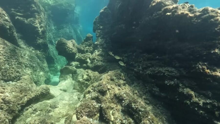 Elafiti: Caves, Beaches, Ancient places, Fun in 5h trip - Practicalities and Tips