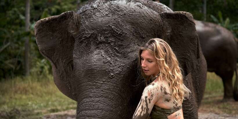 Elephant Care Experience with Mud Bath at Bali Zoo - The Itinerary in Detail