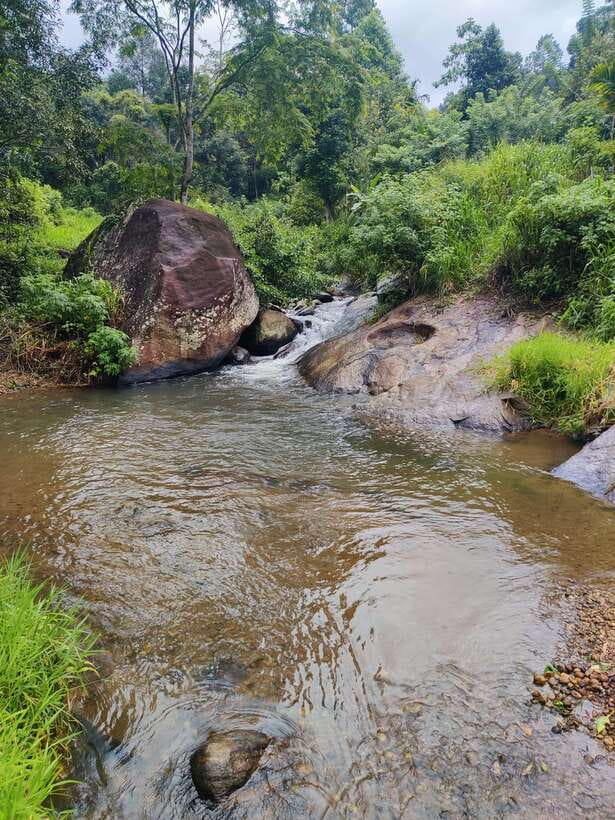 Ella: Guided Day Tour with Tea Estate Visit - The Nine Arches Bridge: A Colonial Engineering Marvel