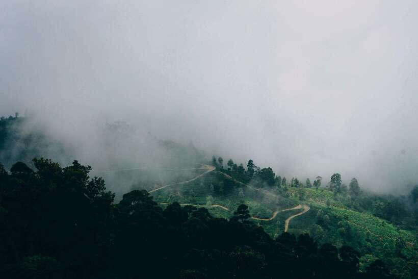 Ella: The Pekoe Trail Stage 16 - Ella to Demodara - The Itinerary: What to Expect at Each Stop