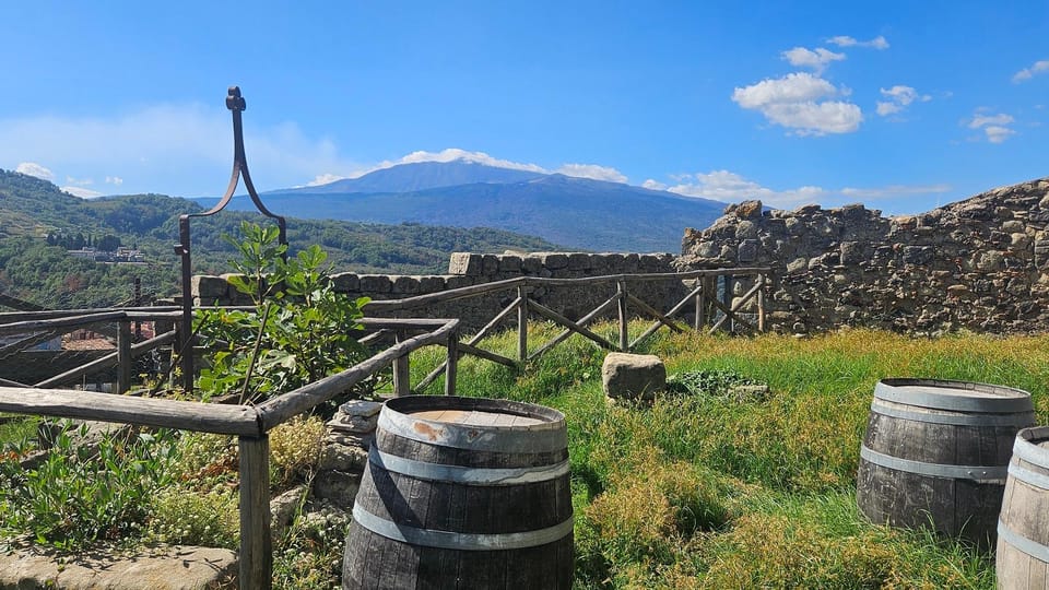 ETNA VILLAGES: OIL & RICOTTA TASTING With Lunch - Culinary Delights
