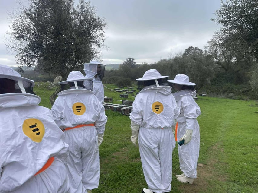 Évora or Montemor: Beekeeping, Chocolate factory, Wine tasting - Authentic Experiences and Lasting Memories