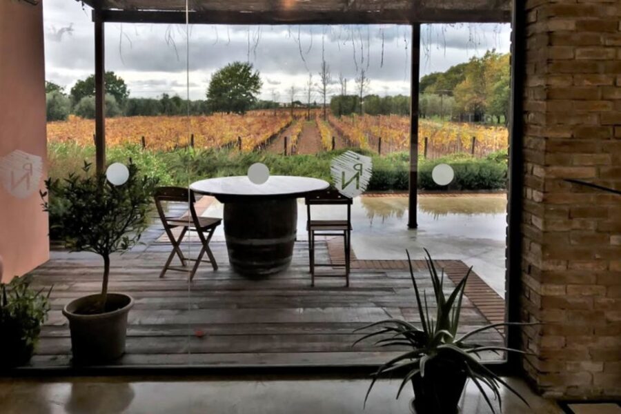 Exclusive Bolgheri Full-Day Wine Tour from Florence - Key Points