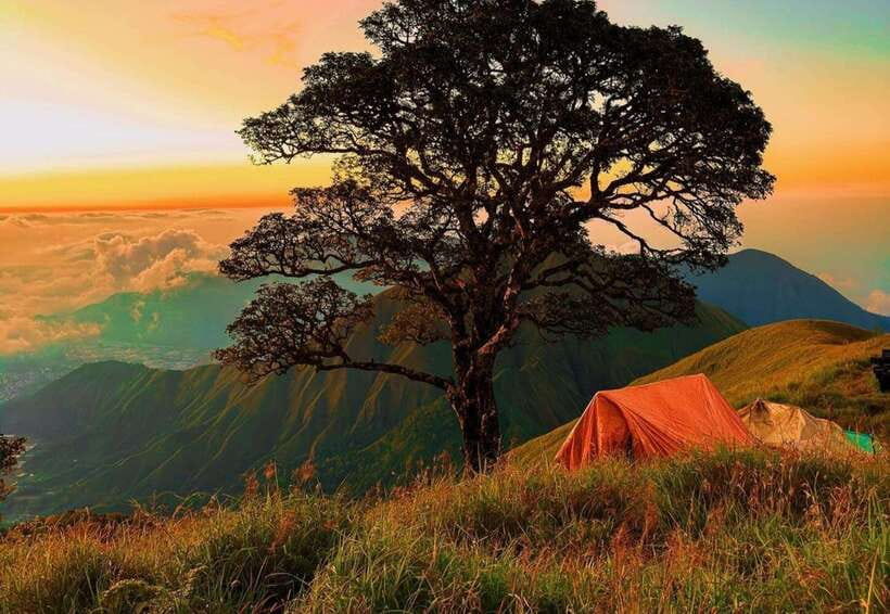 Exclusive Hiking to Nanggi Hill: Camping Under the Stars - Who Should Book This Tour?