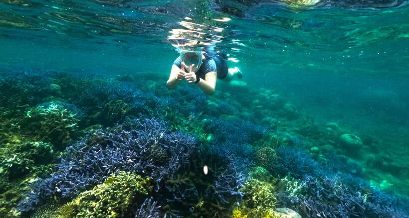 Exclusive Snorkeling Experience to Gili Gede and 4 Gilis - What to Expect on the Day