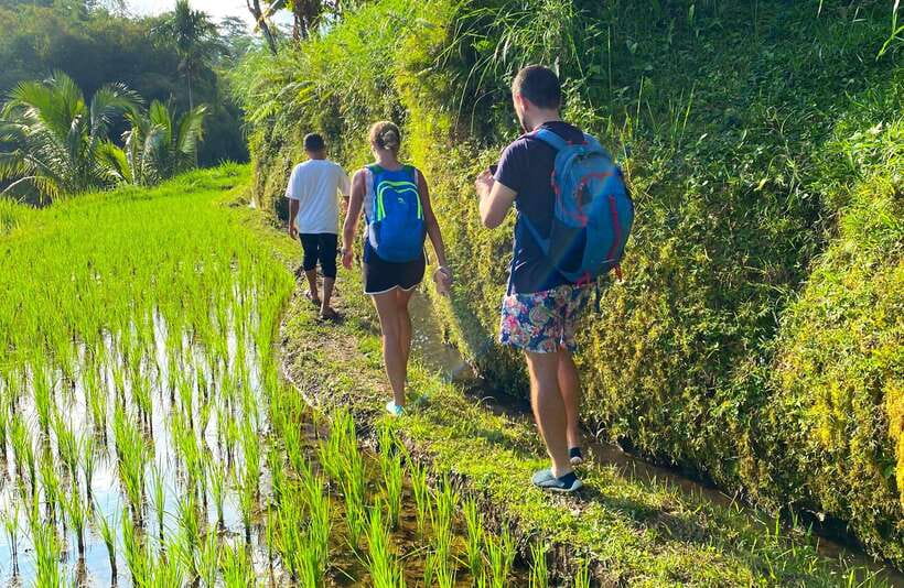 Exclusive Tetebatu: Waterfall, Rice Fields, Monkey & Weaving - What To Expect on the Day