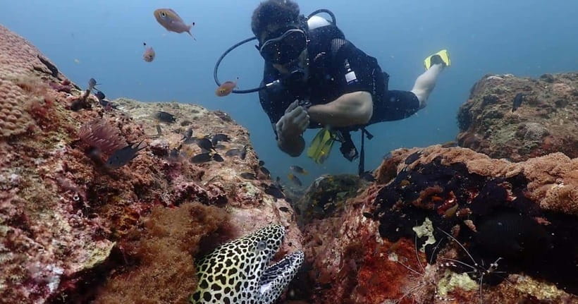 Exclusive Whale & Dolphin Tours in Sri Lanka: Trincomalee - Final Thoughts