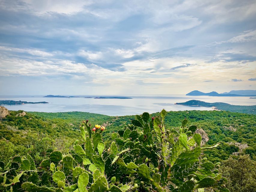 Experience Sardinia:North Coast Tour Between Sea and History - What Makes This Tour Stand Out?