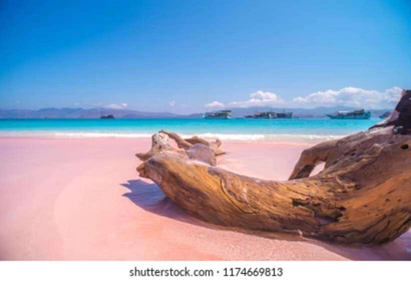 Explore 6 Favorite Destinations Labuan Bajo Include Tickets - Who Is This Tour Best For?