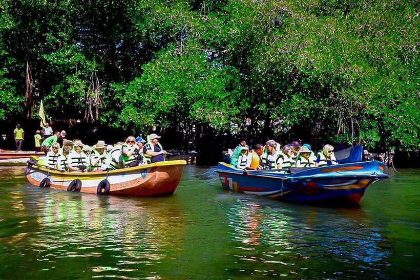 Explore Bentota River:Safari Tour with Hotel Pickup&Drop-off - Authentic Reviews & Real Experiences