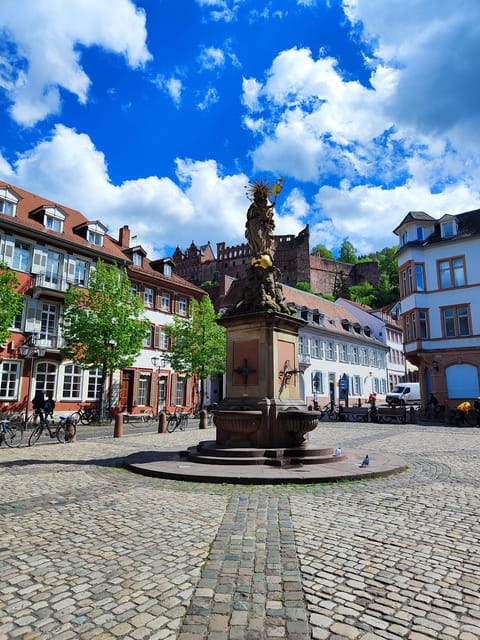 EXPRESS TOUR of Historic Heidelberg - The Highlights in 1 h - Who Will Love This Tour?