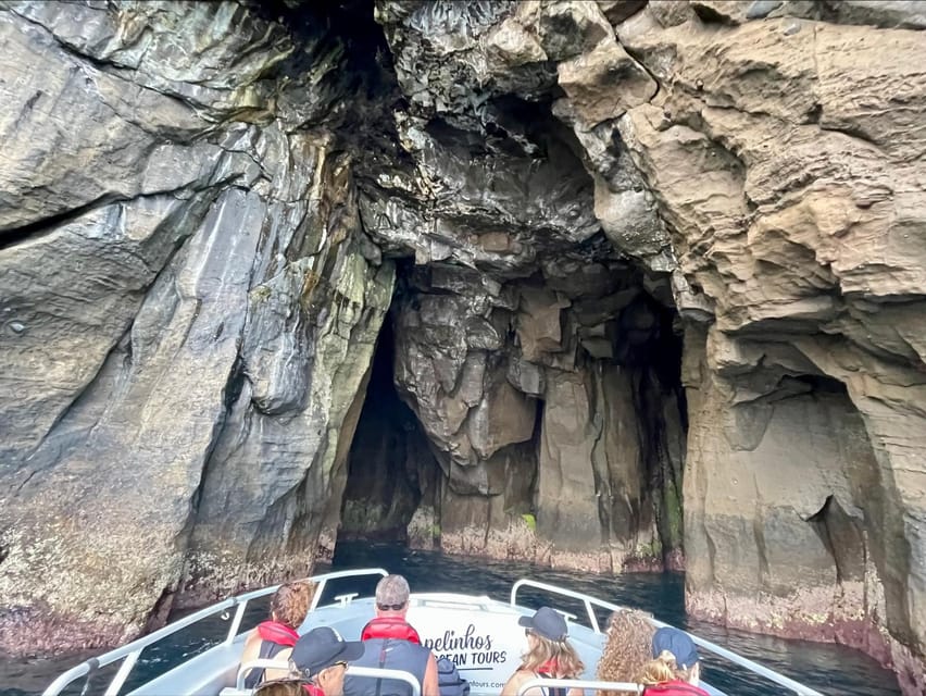Faial Island: Unique boat tour to the Capelinhos volcano - The Itinerary in Detail