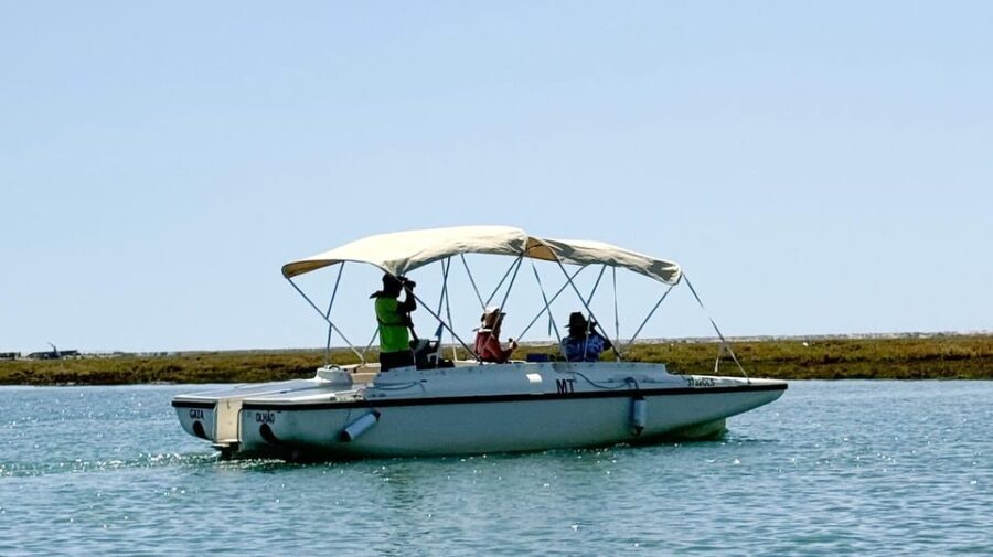 Faro: Ria Formosa Boat Tour by Eco-Friendly Solar Boat - What Sets This Tour Apart?