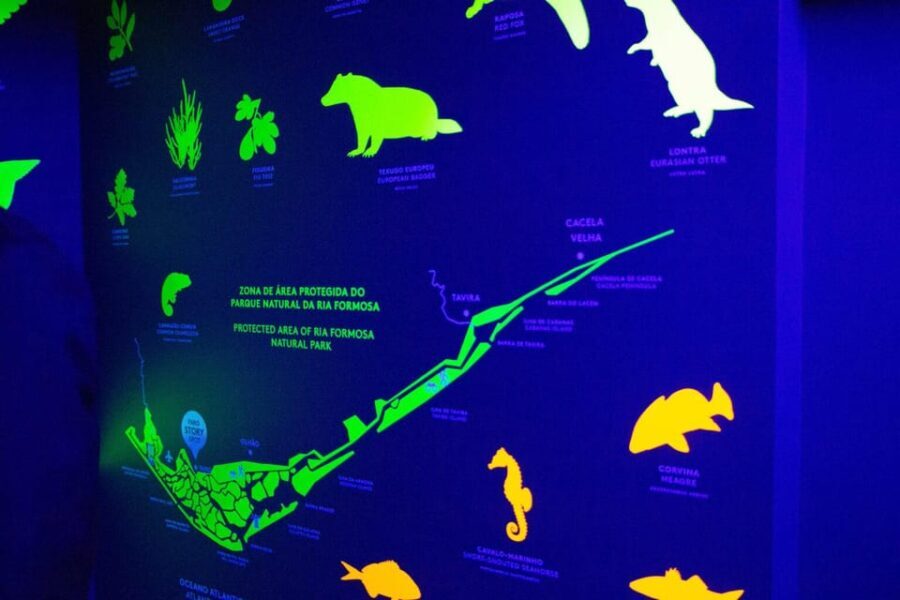 Faro Story Spot - Multimedia Museum&Restaurant: Tour&Tasting - The Sum Up