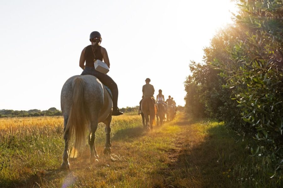 Fazana: Sunset 1-hour Horse Riding in Nature with Guide - What to Expect on the Tour