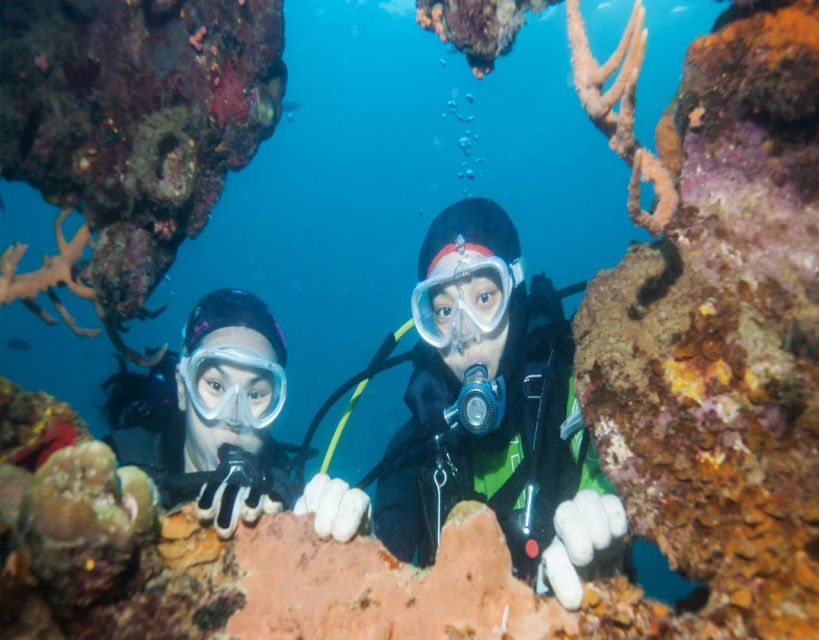 Fethiye: 2 Guided Scuba Dives with Lunch and Hotel Transfers - What Travelers Are Saying