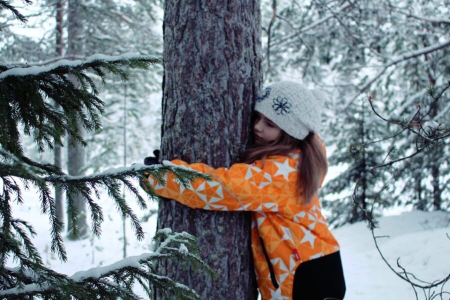 Finland Levi: Arctic Cocooning Experience in HaliPuu Forest - Is It Worth the Price?