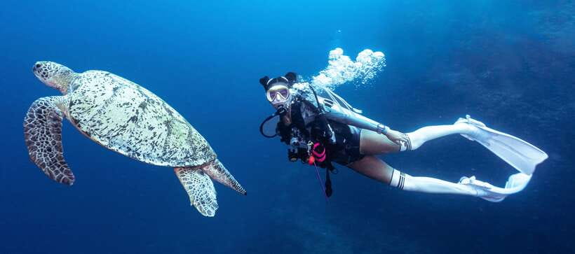 Fisheye Divers: Discover Scuba Diving - What Makes This Experience Stand Out  