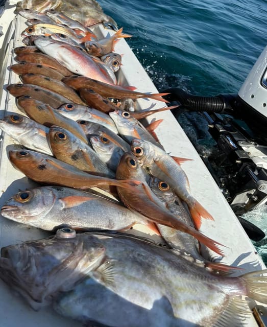 Fishing tour with midwater bolentino or rod technique. - The Fishing Experience: Techniques and Targets