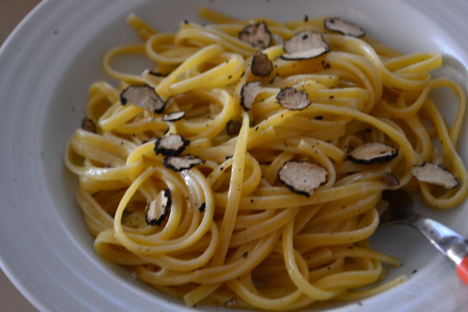 Florence: Truffle Hunting, Lunch, and Wine Tasting Tour - Practical Details and Considerations