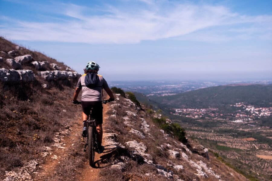 Fórnea E-bike and Olive Oil tour - Cultural and Tasty Interludes: Olive Oil Workshop