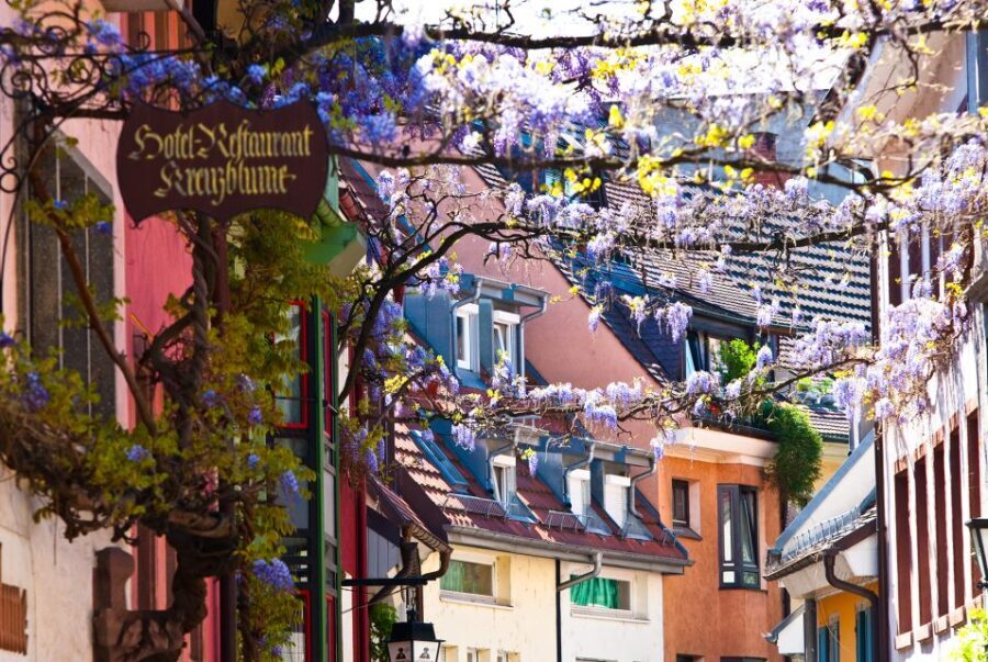 Freiburg: Gässle, Bächle and More City Tour - A Closer Look at the Freiburg Old Town Tour