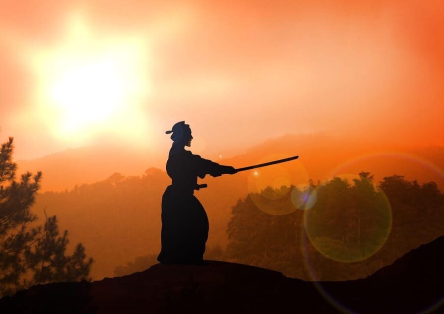 Freiburg im Breisgau: Essence of Samurai Martial Arts & Yoga - Who Should Consider This Tour?