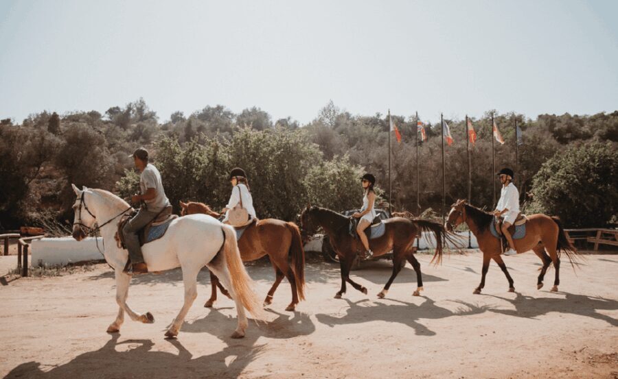 From Albufeira: Horse Riding Tour with Pickup - Why Consider This Horse Riding Tour?