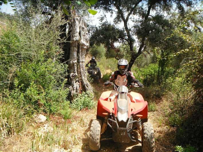 From Albufeira: Paderne Adventure Quad Ride - Who Is This Tour Best For?