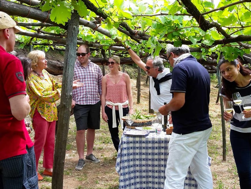 From Amalfi: Amalfi Coast Tour and Wine Tasting with Lunch - The Winery Experience: Authenticity in Every Sip