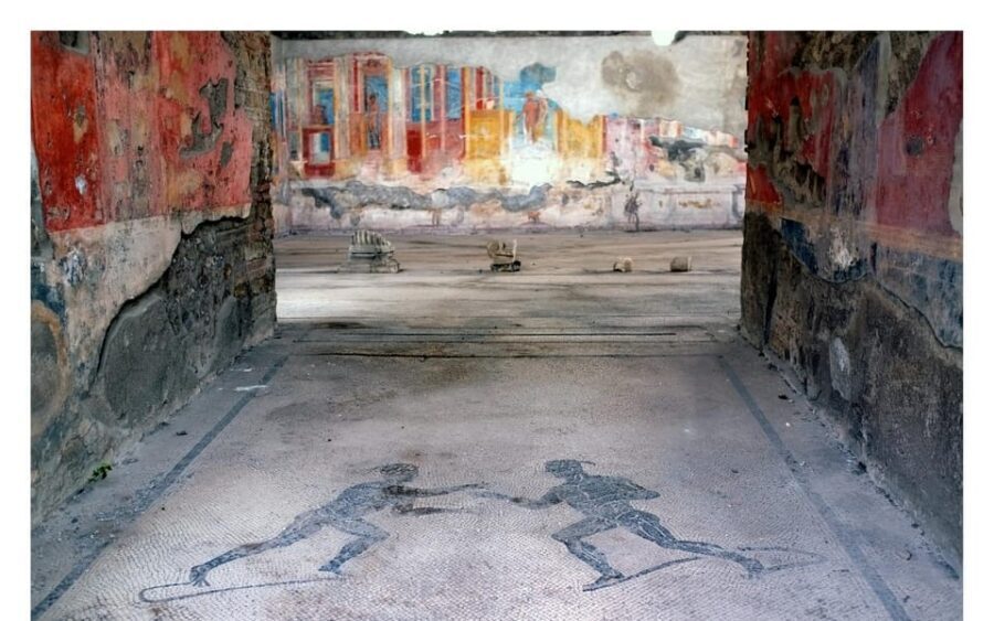 From Amalfi Coast: Pompeii, Herculaneum, and Mt. Vesuvius - A Detailed Look at the Day: What to Expect  
