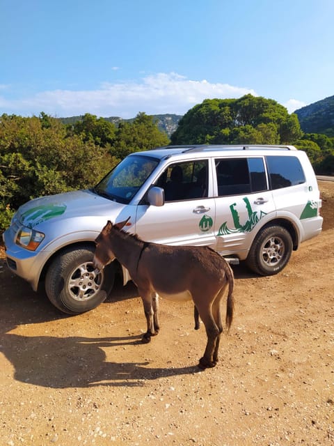 From Arbatax: 4hour Jeep Tour of the Golgo Plateau in Baunei - Itinerary and Highlights