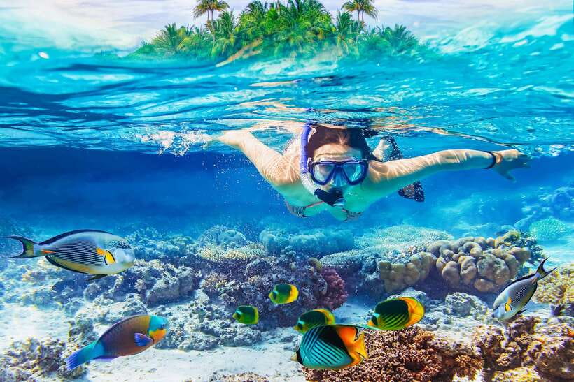 From Bali: Half Day Snorkeling 3 Spots to Lembongan & Penida - Why This Tour Offers Good Value