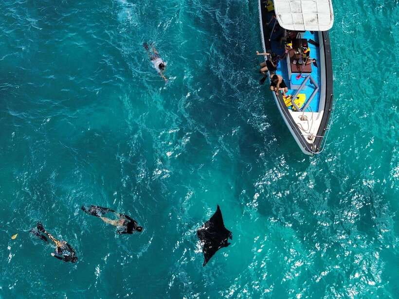 From Bali: Nusa Penida Full Day Private Snorkeling Tour - A Detailed Look at the Tour