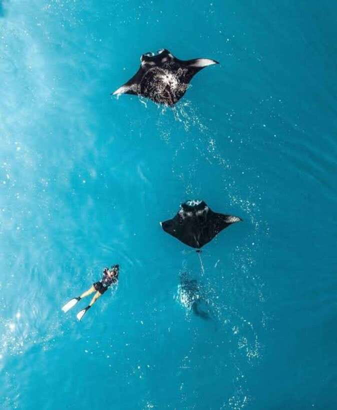 From Bali: Nusa Penida Private Snorkeling and Land Tour - An In-Depth Look at the Tour Experience