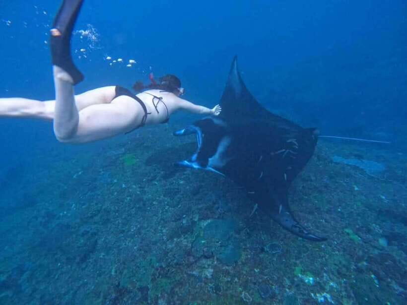 From Bali: Snorkeling 3 Spots To Nusa Penida & Lembongan - What Makes This Tour Stand Out?