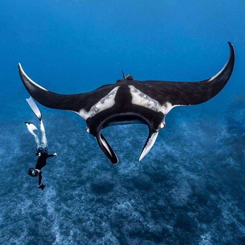 From Bali: Snorkeling at Manta Point Nusa Penida & Land Tour - An In-Depth Look at the Tour Experience