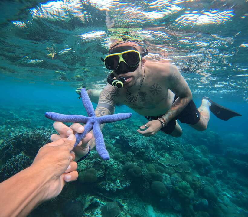 From Bali : Snorkeling & Nusa Penida Island Tour with Lunch - Why This Tour Works for You