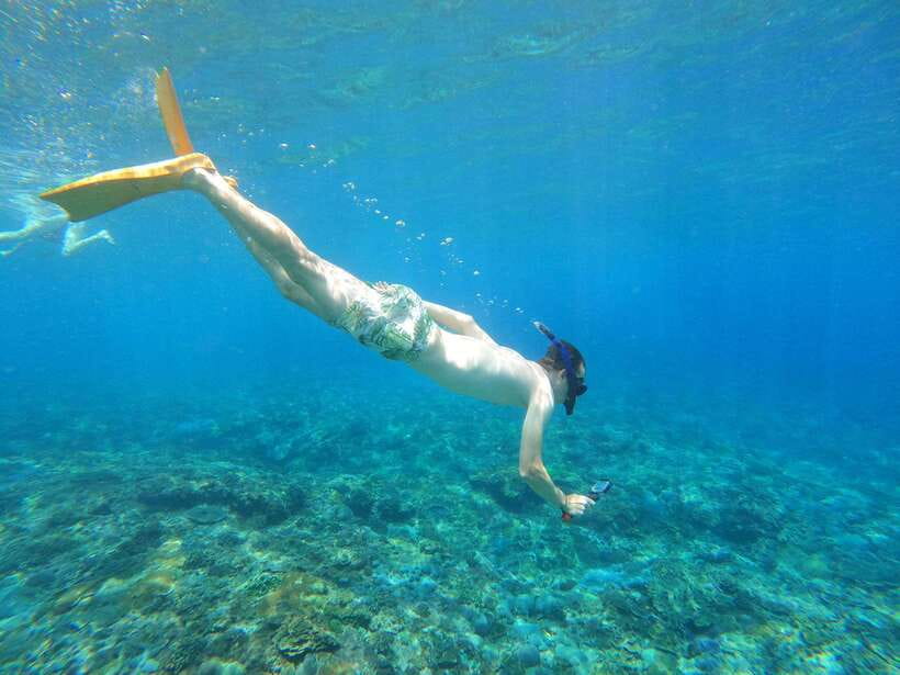 From Bali: Swim with Manta & T-rex Beach All inclusive Tour - Deep Dive into the Itinerary