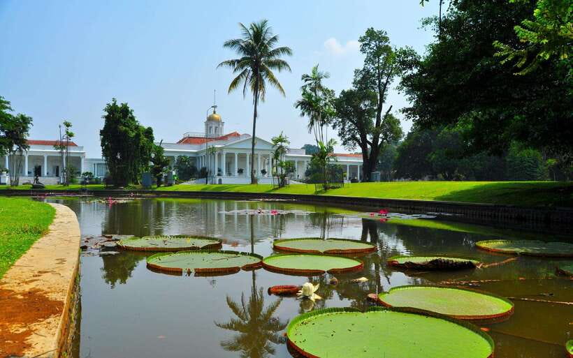 From Bandung: Tea Plantation and Botanical Garden Tour - The Experience: Authenticity and Value