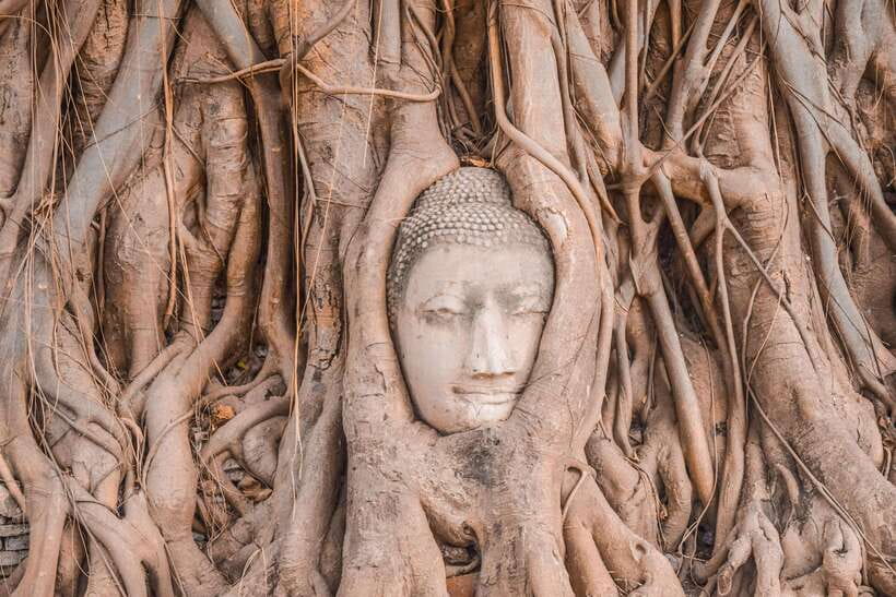 From Bangkok: Ayutthaya Temples and Boat Tour With Lunch - Highlights of the Itinerary