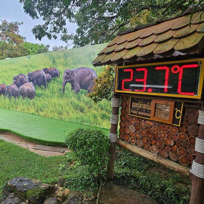 From Bangkok: Khao Yai National Park Day Trip - Itinerary Highlights