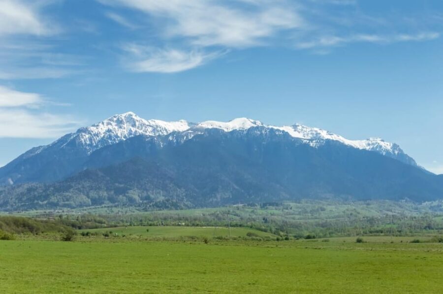From Bucharest: Bear Sanctuary and 7 Ladders Canyon Day Trip - Why This Tour Offers Great Value