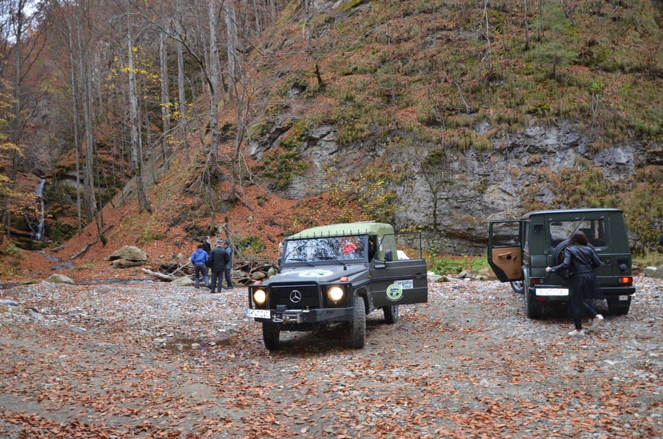 From Bucharest: Brdetu 4x4 Tour with Lunch, Hotel Pick-Up - Analyzing the Price and Value