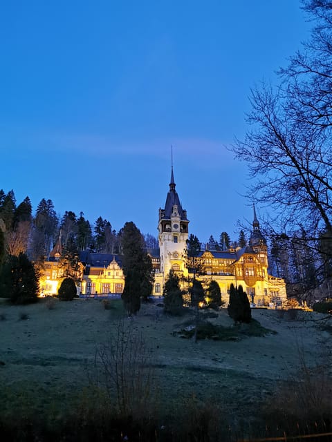 From Bucharest: Day Trip to Peles and Bran Castles with - Who Will Love This Tour?